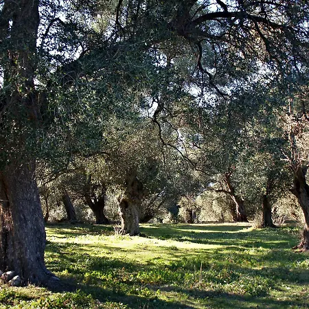 Casa Theodora - De Charme Et Caractere 3* Muro (Corsica)
