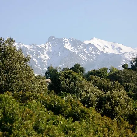 Casa Theodora - De Charme Et Caractere 3* Muro (Corsica)