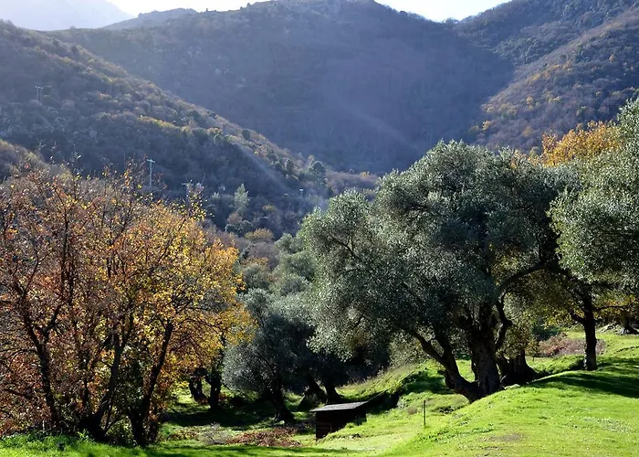 Casa Theodora - De Charme Et Caractere 3* Muro (Corsica)