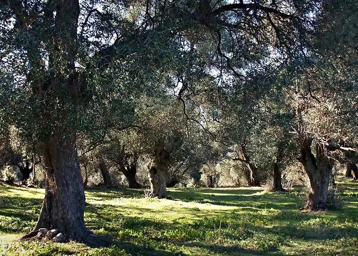 Casa Theodora - De Charme Et Caractere 3* Muro (Corsica)