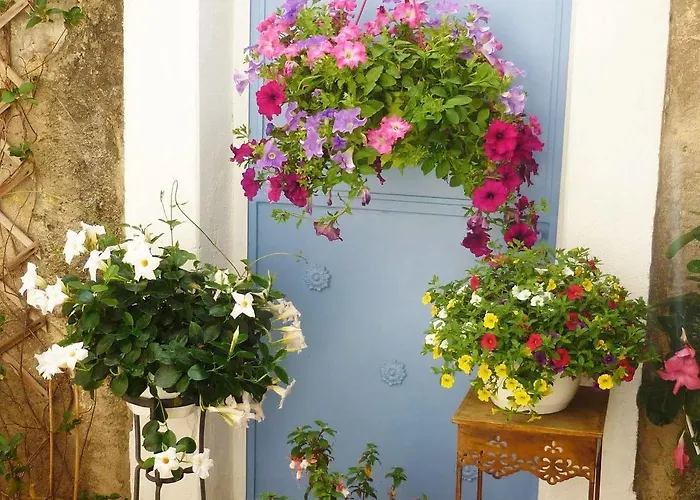 Casa Theodora - De Charme Et Caractere 3* Muro (Corsica)