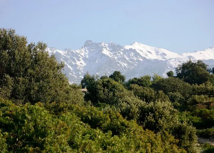 Casa Theodora - De Charme Et Caractere 3* Muro (Corsica)